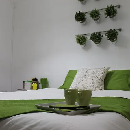 Window To Ii Лісабон